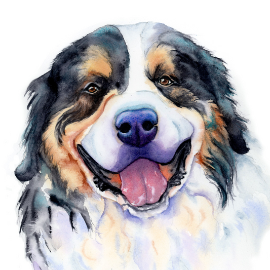 Colorful pet portrait of a dog with a clean white background
