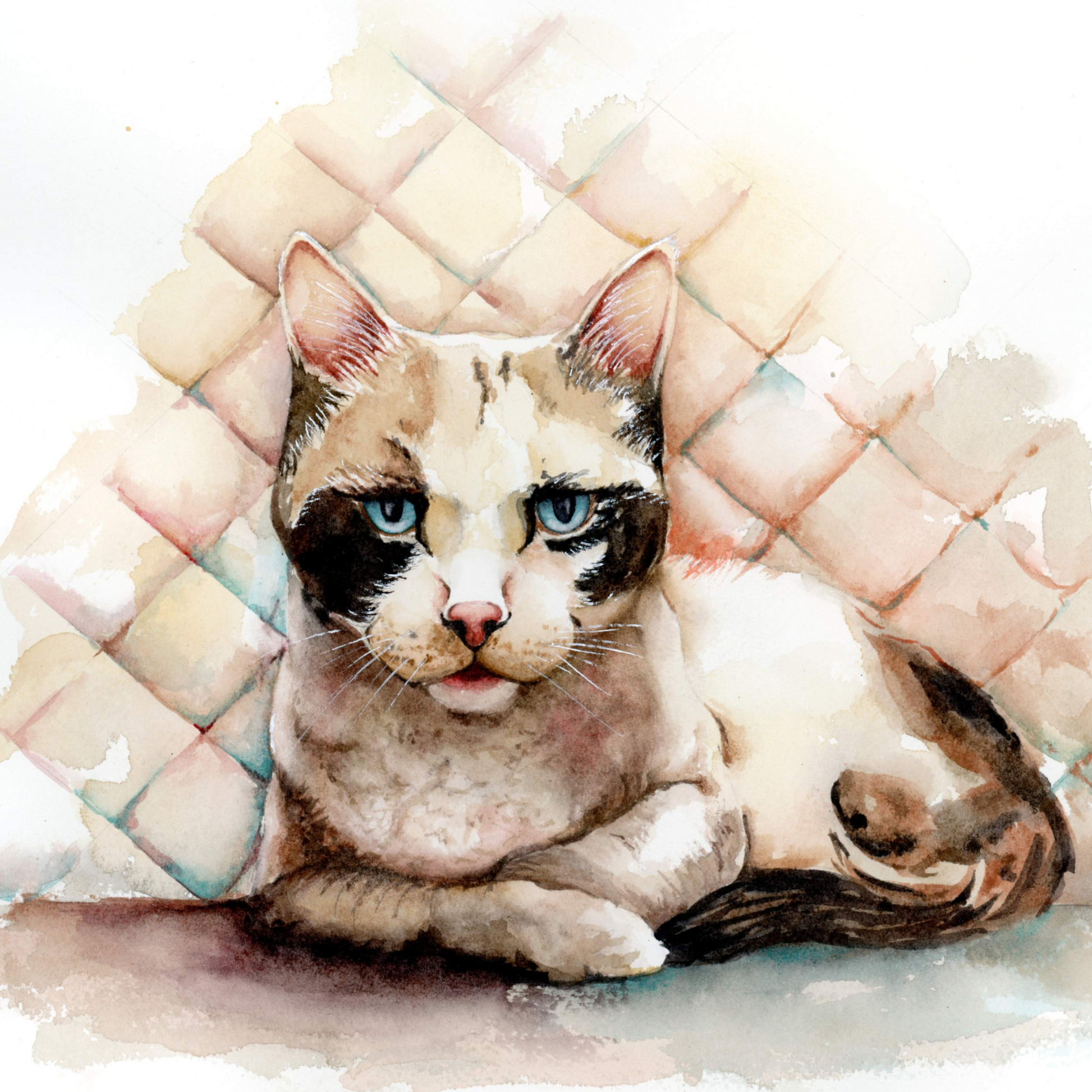Colorful custom watercolor portrait of a cat – unique gift for animal lovers and pet parents