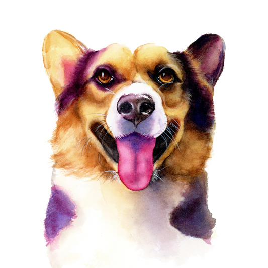 Colorful custom watercolor portrait of a smiling corgi – unique gift for animal lovers 